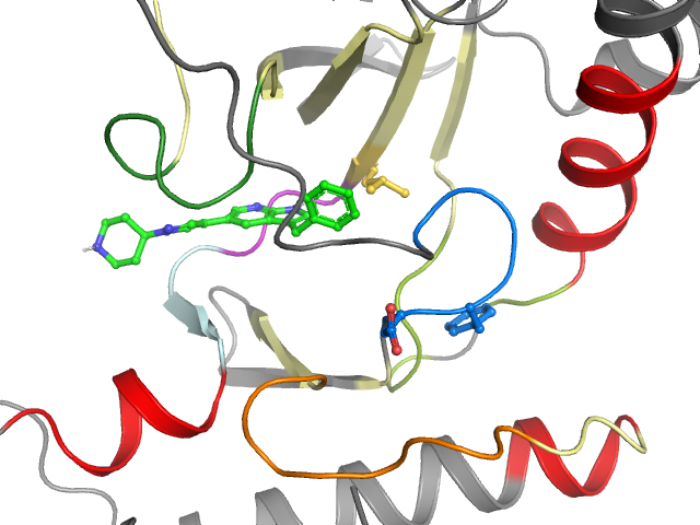 The orthosteric binding pocket