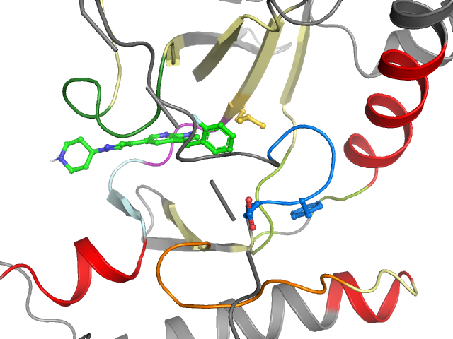 The orthosteric binding pocket