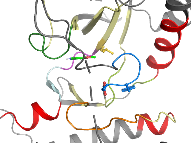 The orthosteric binding pocket
