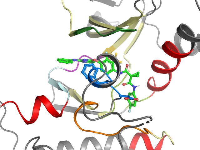 The orthosteric binding pocket