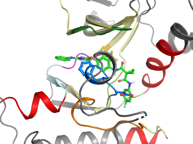 The orthosteric binding pocket