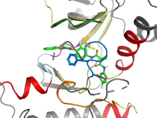 The orthosteric binding pocket