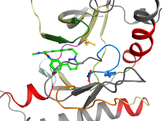 The orthosteric binding pocket
