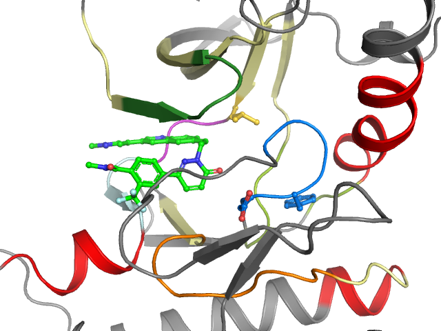 The orthosteric binding pocket