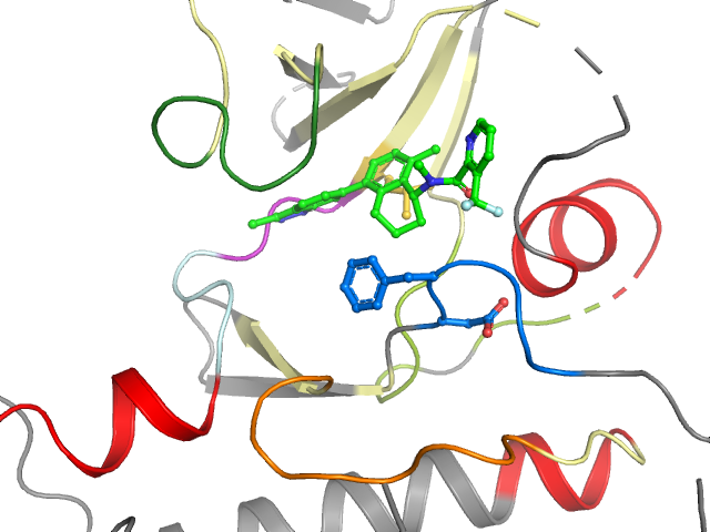 The orthosteric binding pocket