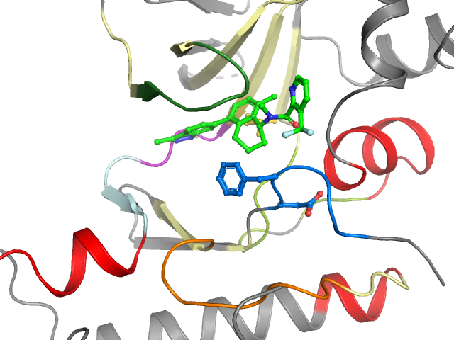 The orthosteric binding pocket