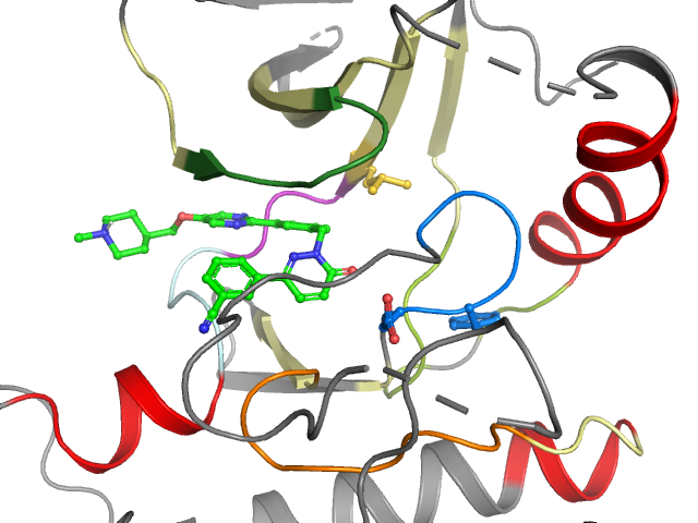 The orthosteric binding pocket