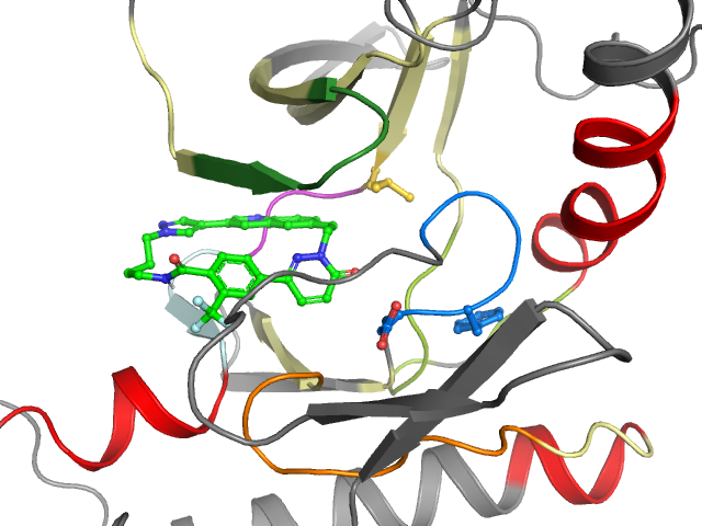 The orthosteric binding pocket