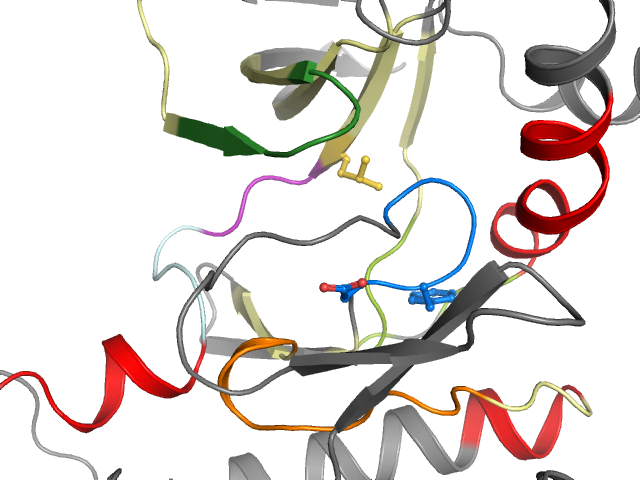 The orthosteric binding pocket