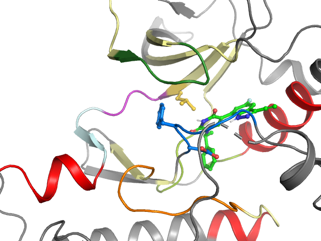 The orthosteric binding pocket