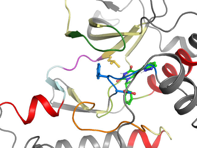 The orthosteric binding pocket