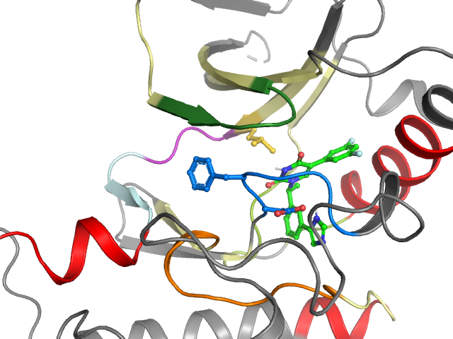 The orthosteric binding pocket