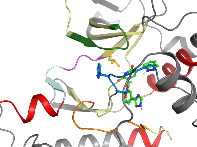 The orthosteric binding pocket