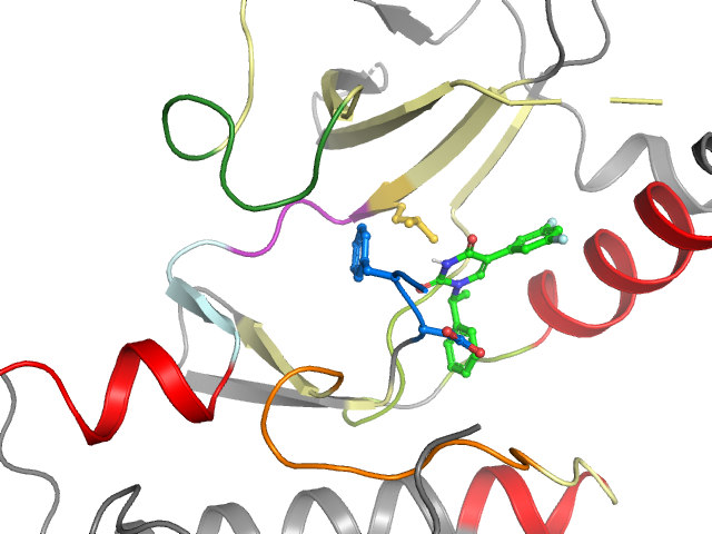 The orthosteric binding pocket