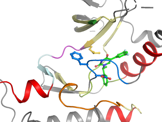 The orthosteric binding pocket