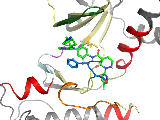 The orthosteric binding pocket