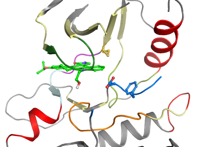 The orthosteric binding pocket