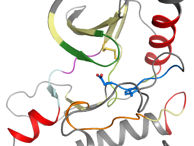 The orthosteric binding pocket