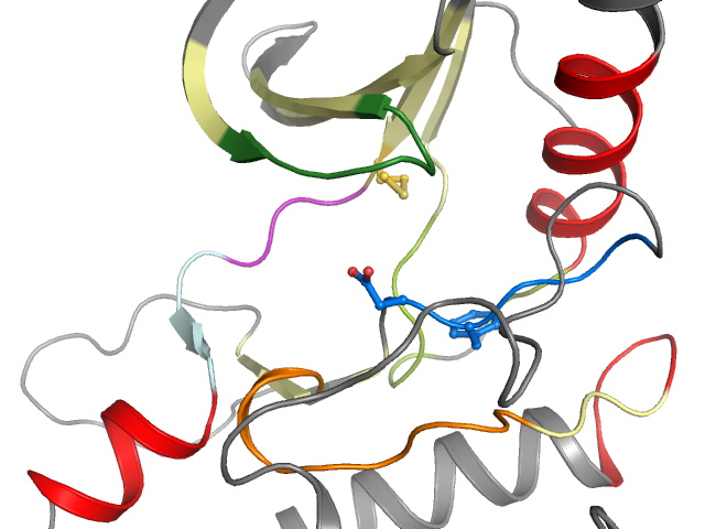 The orthosteric binding pocket