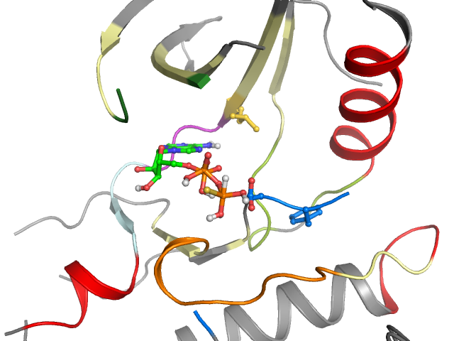 The orthosteric binding pocket
