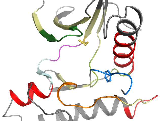 The orthosteric binding pocket