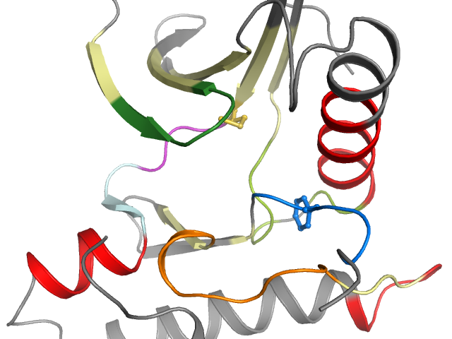 The orthosteric binding pocket