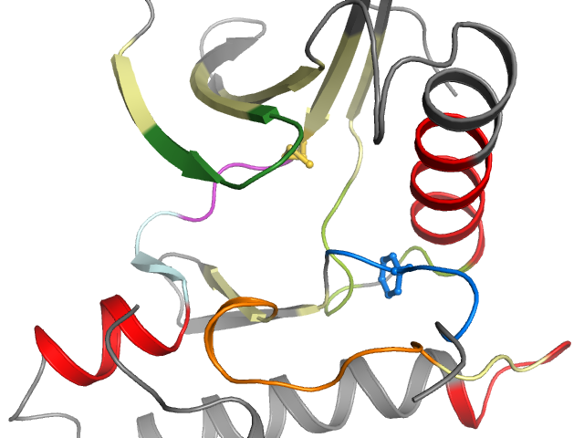The orthosteric binding pocket