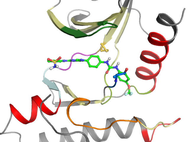 The orthosteric binding pocket