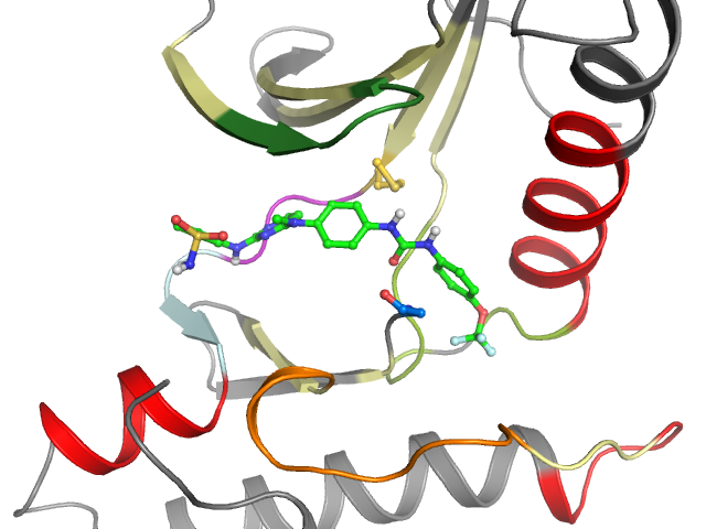 The orthosteric binding pocket