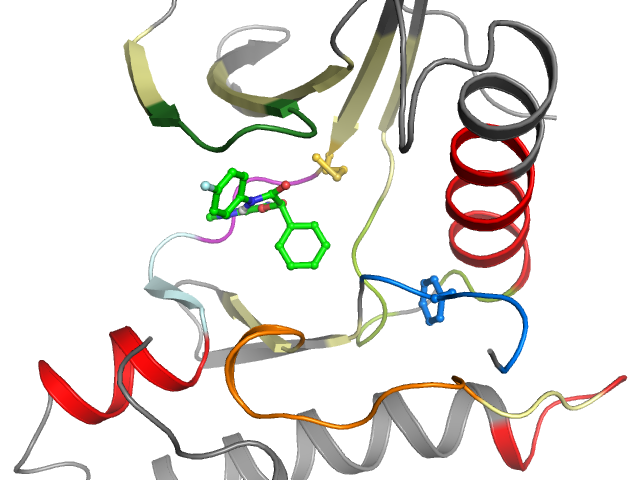 The orthosteric binding pocket