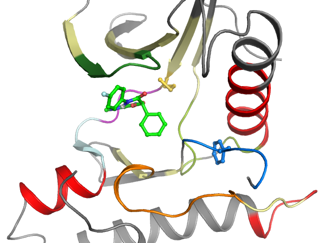 The orthosteric binding pocket