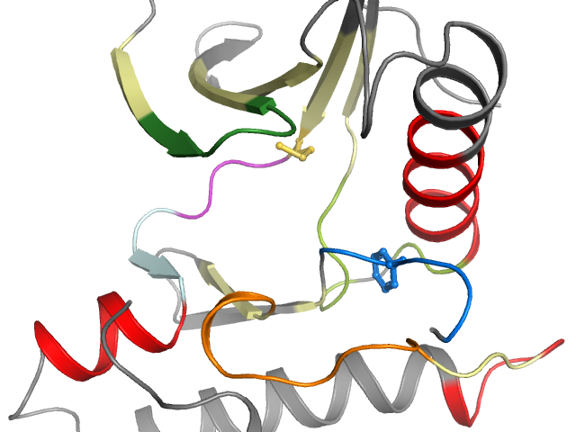 The orthosteric binding pocket