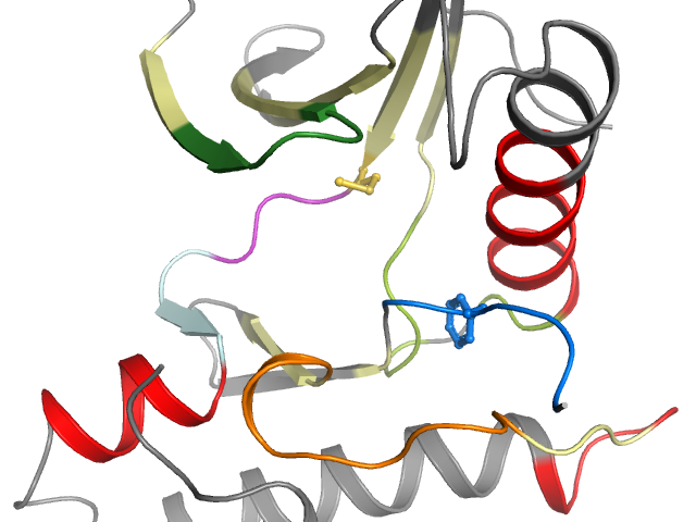The orthosteric binding pocket