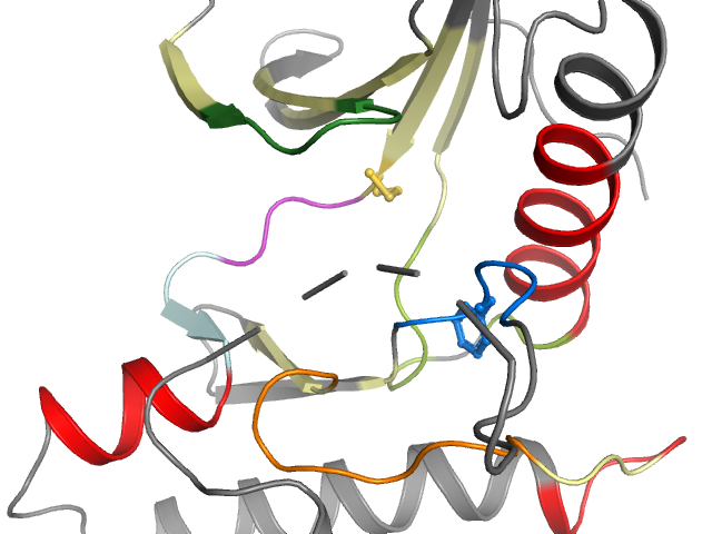 The orthosteric binding pocket