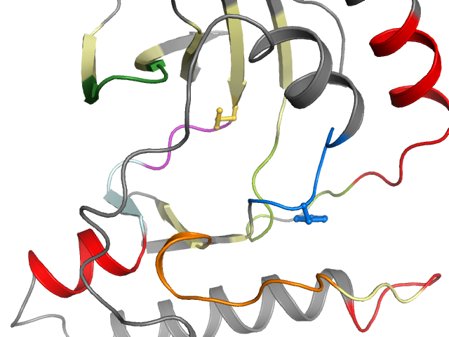 The orthosteric binding pocket