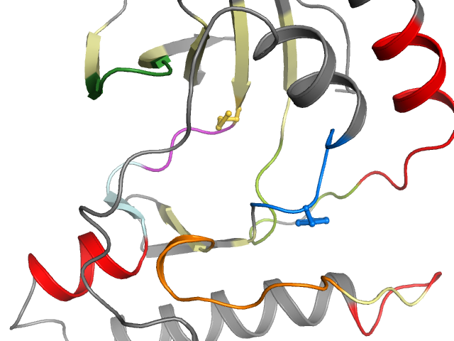 The orthosteric binding pocket