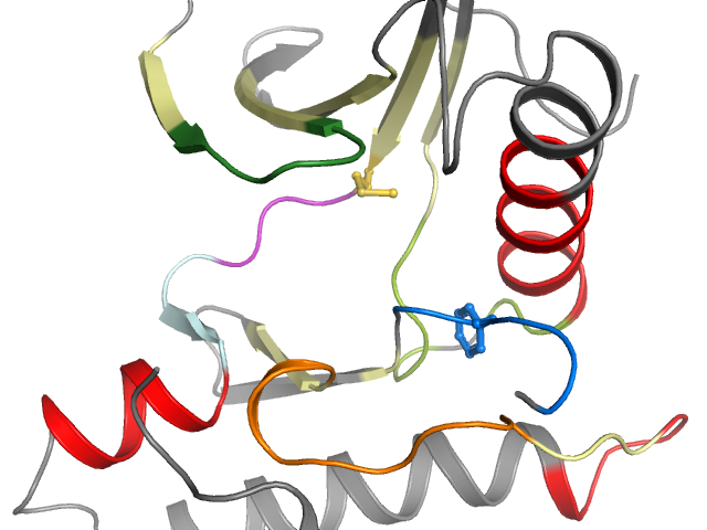 The orthosteric binding pocket