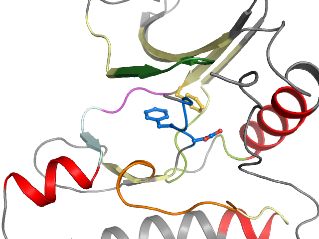 The orthosteric binding pocket