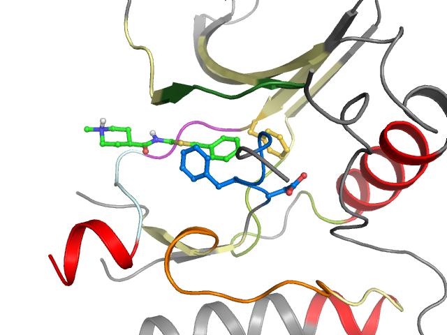 The orthosteric binding pocket
