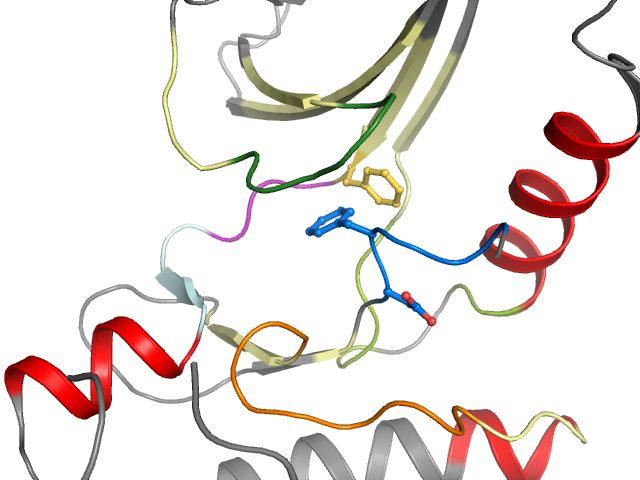 The orthosteric binding pocket