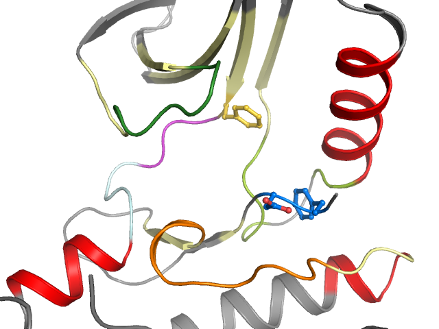 The orthosteric binding pocket