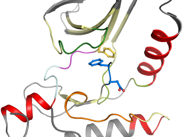 The orthosteric binding pocket