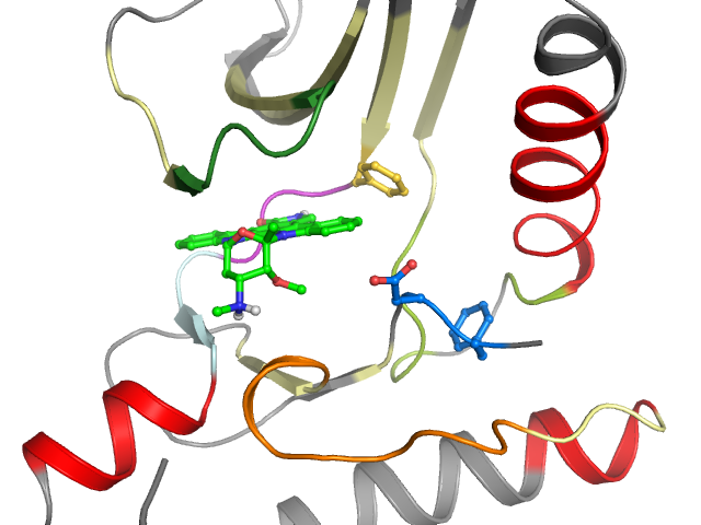The orthosteric binding pocket