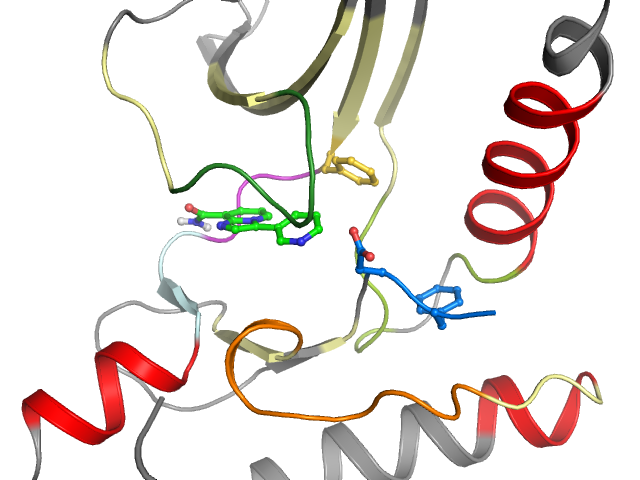 The orthosteric binding pocket