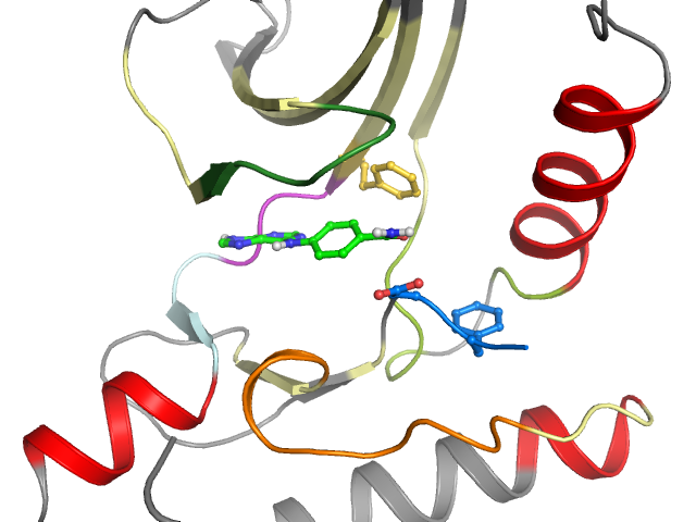 The orthosteric binding pocket