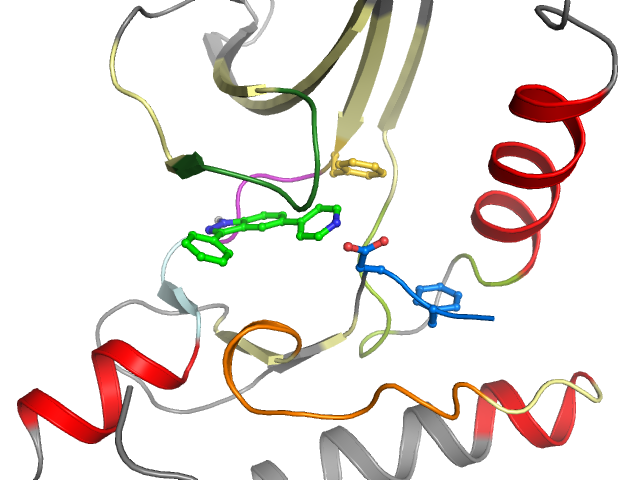 The orthosteric binding pocket