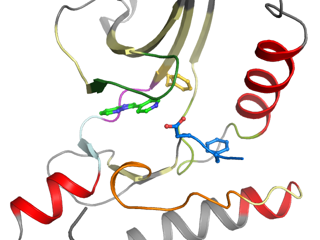 The orthosteric binding pocket