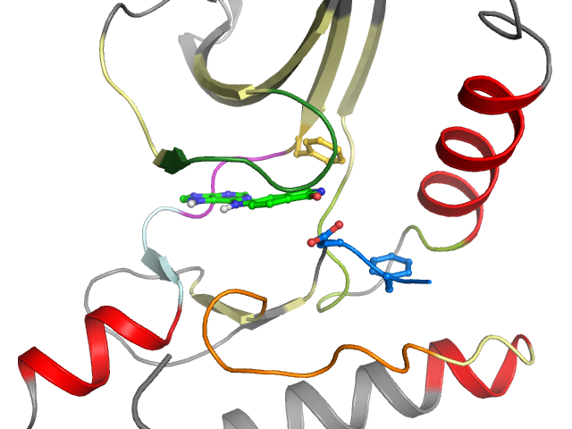The orthosteric binding pocket