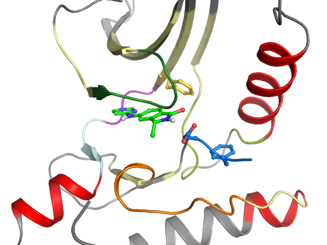 The orthosteric binding pocket