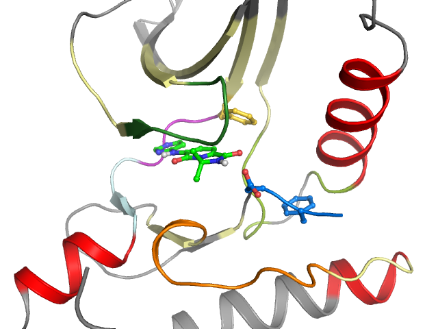 The orthosteric binding pocket